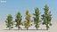 200 Low Poly Trees 3D model