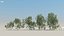 200 Low Poly Trees 3D model