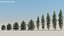 200 Low Poly Trees 3D model