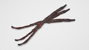 3D model Vanilla Sticks