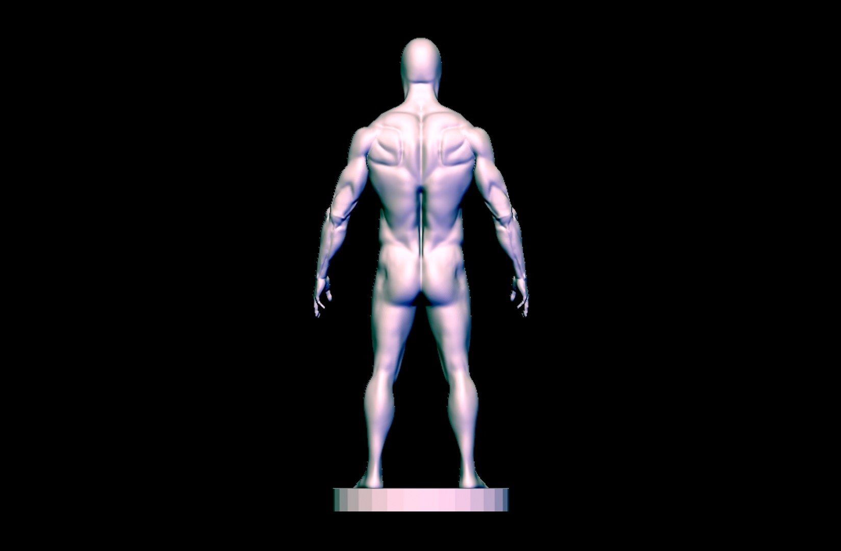 anatomy human man 3D https://p.turbosquid.com/ts-thumb/kP/8WxbQG/0qrdhYd4/xx/jpg/1586770622/1920x1080/fit_q87/7a11d0acf2812225f2d350afe83553ddf35947ba/xx.jpg