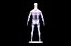 base mesh