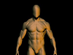 base mesh