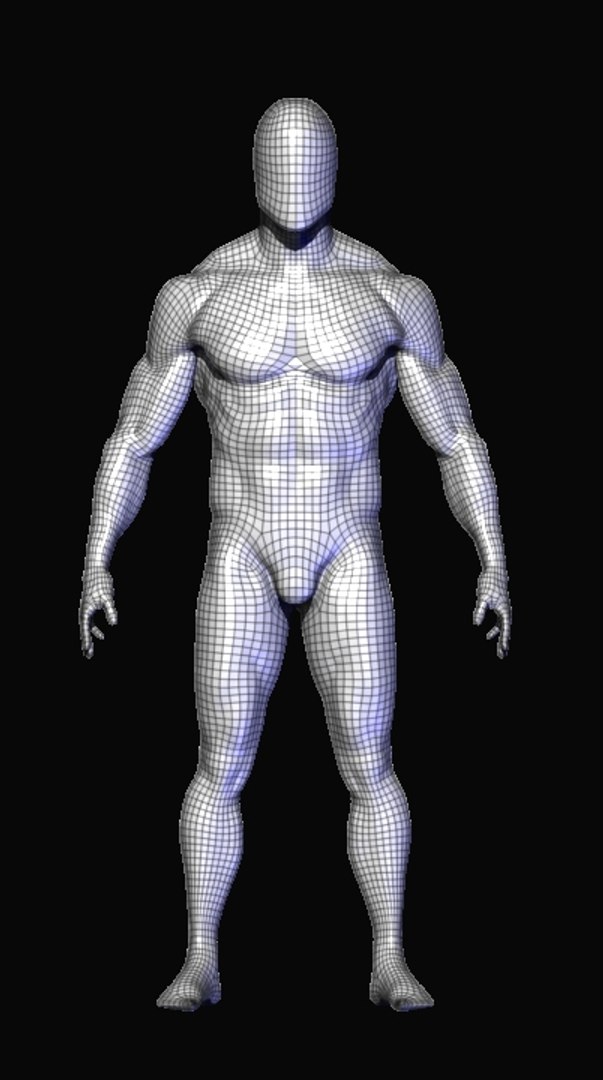 anatomy human man 3D https://p.turbosquid.com/ts-thumb/kP/8WxbQG/q6QMsLLQ/w1/jpg/1586770697/1920x1080/fit_q87/18ba80cc075abef6e254f8fad448582d51c348aa/w1.jpg