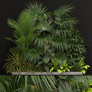 3D plants 197