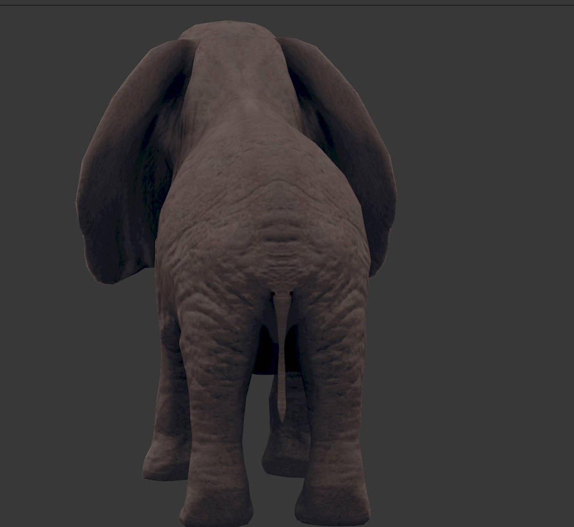 africa animals 3D model https://p.turbosquid.com/ts-thumb/kP/EheTus/DbWzBZB9/20171206_134849/jpg/1512557681/1920x1080/fit_q87/8be318e971dea1cdcd432ff77ac137194e085f25/20171206_134849.jpg