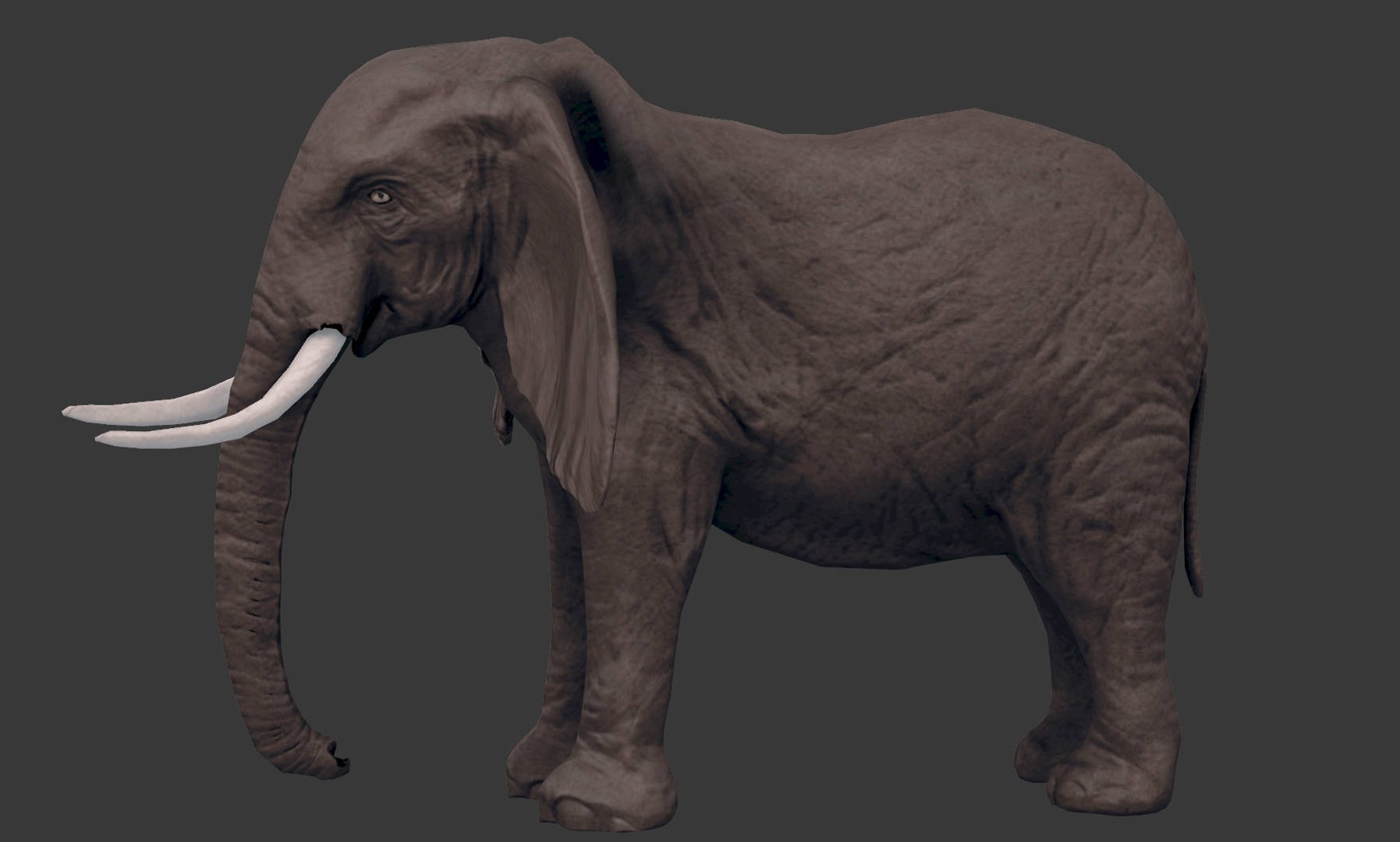 africa animals 3D model https://p.turbosquid.com/ts-thumb/kP/EheTus/FiQDj3Zh/20171206_134835/jpg/1512557681/1920x1080/fit_q87/d1c69ec9d2c0b9da880e795626a8a20d5fd6468b/20171206_134835.jpg