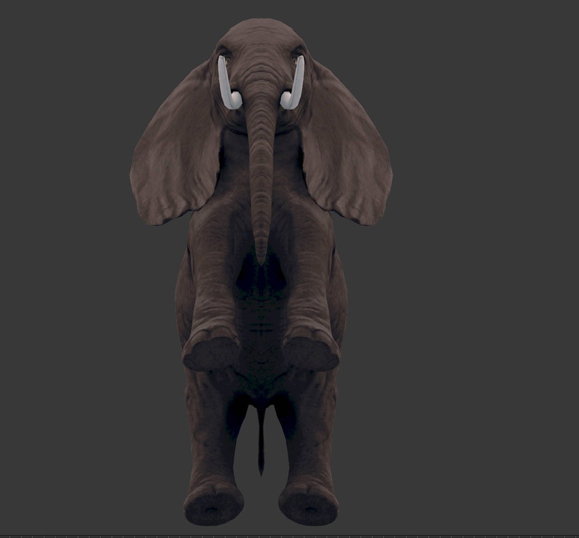 africa animals 3D model https://p.turbosquid.com/ts-thumb/kP/EheTus/OOrJ2vEi/20171206_134901/jpg/1512557681/1920x1080/fit_q87/9a3d21806efc55a687637515cf1d44fe497964a7/20171206_134901.jpg