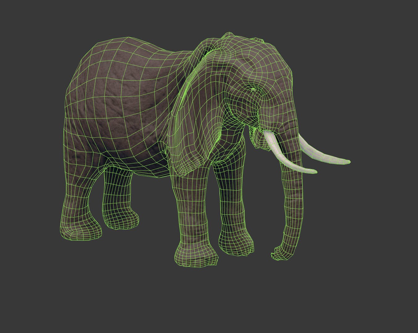 africa animals 3D model https://p.turbosquid.com/ts-thumb/kP/EheTus/Qa3KNVlr/20171206_134905/jpg/1512557681/1920x1080/fit_q87/c842fb16a7964ec7665e585969538e1b879399b5/20171206_134905.jpg