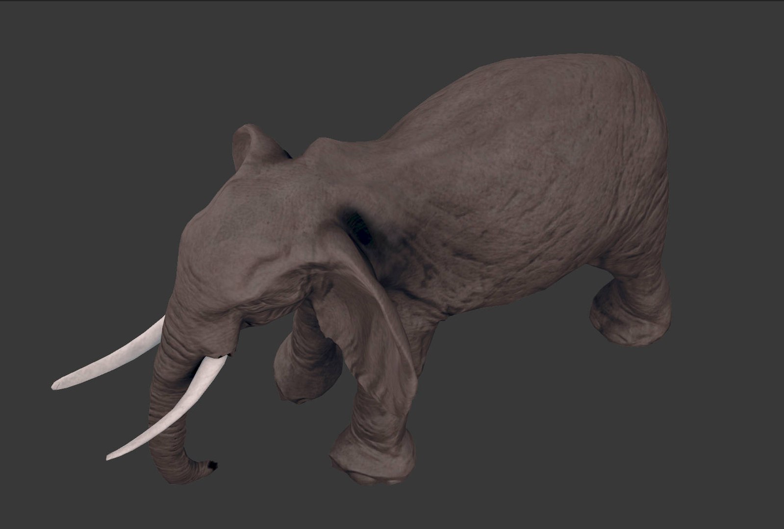 africa animals 3D model https://p.turbosquid.com/ts-thumb/kP/EheTus/TPNfhdAq/20171206_134856/jpg/1512557681/1920x1080/fit_q87/282647d6f2746fd20e2cf41d217f5af551a6f7a5/20171206_134856.jpg