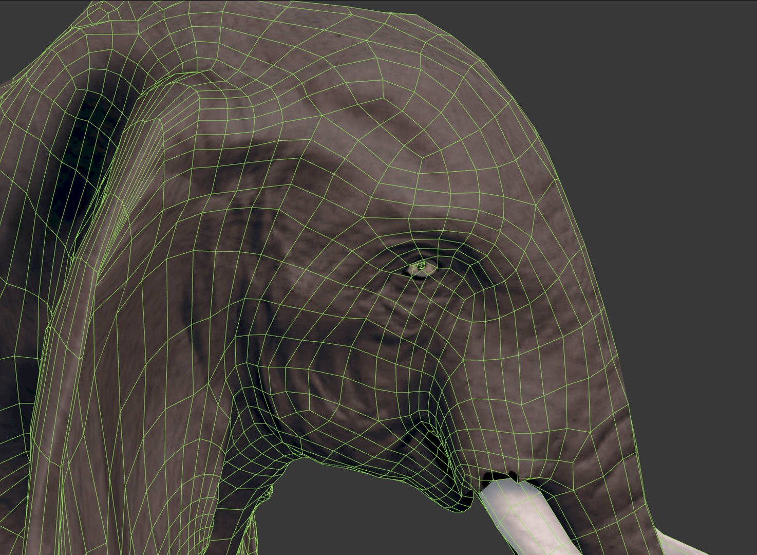 africa animals 3D model https://p.turbosquid.com/ts-thumb/kP/EheTus/TunM9Xow/20171206_134921/jpg/1512557681/1920x1080/fit_q87/169528f58b4865844fa130e2164797dd8bd3c275/20171206_134921.jpg