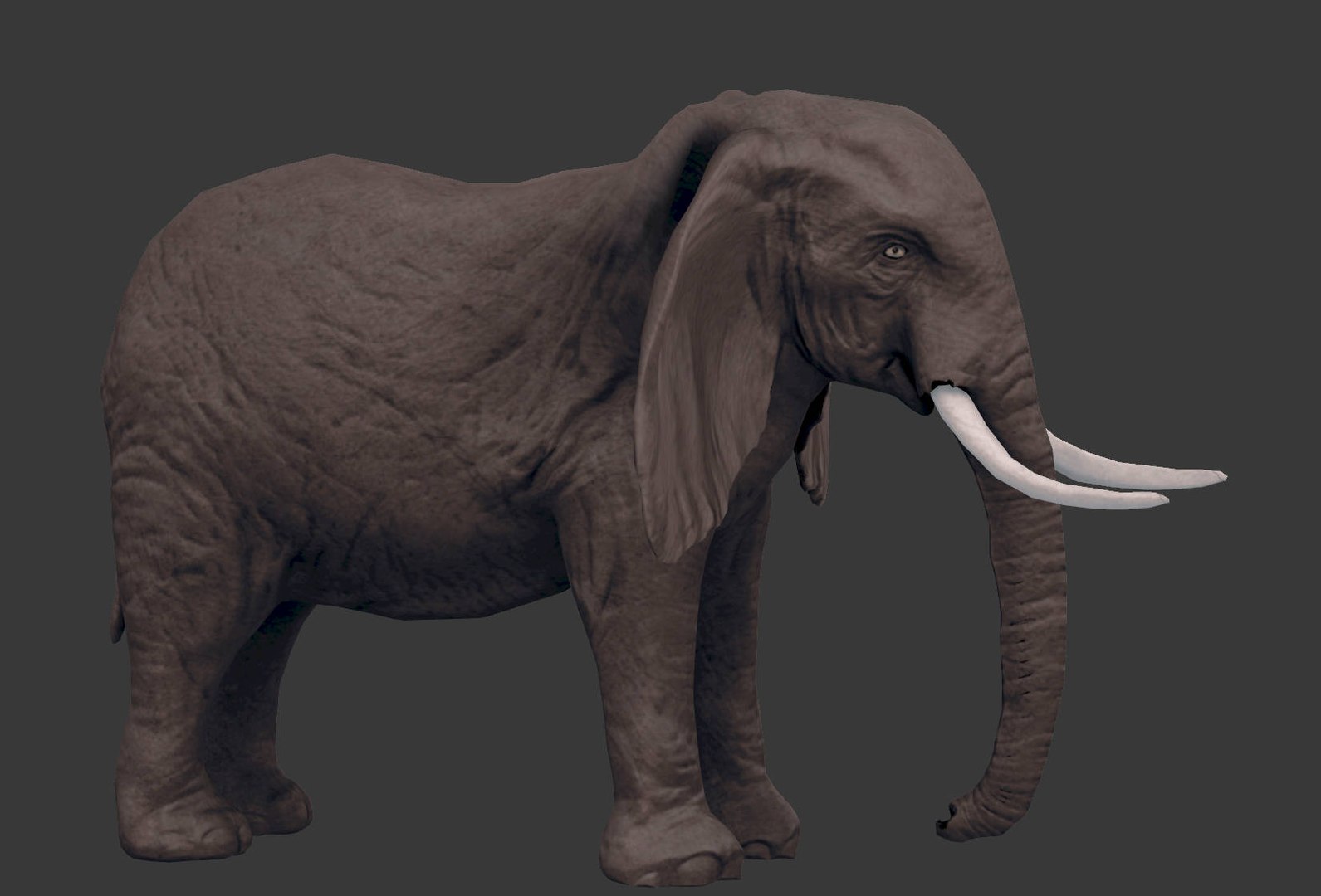 africa animals 3D model https://p.turbosquid.com/ts-thumb/kP/EheTus/b4Rdo2Iv/20171206_134841/jpg/1512557681/1920x1080/fit_q87/c95a4951a2928896ea9498c2baa8c1eba6026a08/20171206_134841.jpg