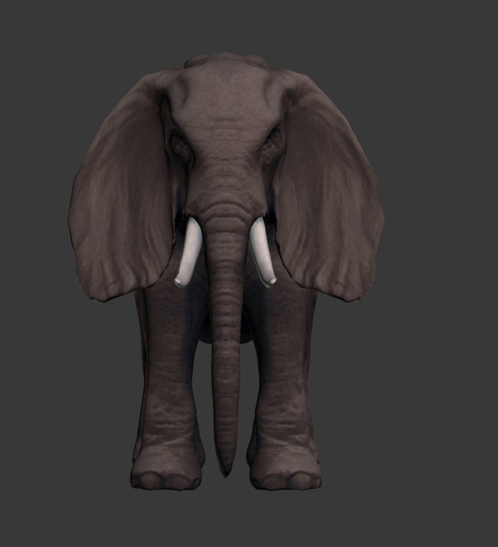 africa animals 3D model https://p.turbosquid.com/ts-thumb/kP/EheTus/hGkEOGKL/20171206_133302/jpg/1512557681/1920x1080/fit_q87/5c17a440798645469d22143580b6a538ac41c5dd/20171206_133302.jpg
