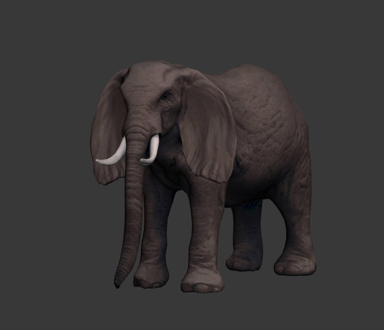 africa animals 3D model https://p.turbosquid.com/ts-thumb/kP/EheTus/hKaoMV9M/20171206_133247/jpg/1512557681/1920x1080/fit_q87/9d4accad654842541ce80a309480e41cc2095c1b/20171206_133247.jpg