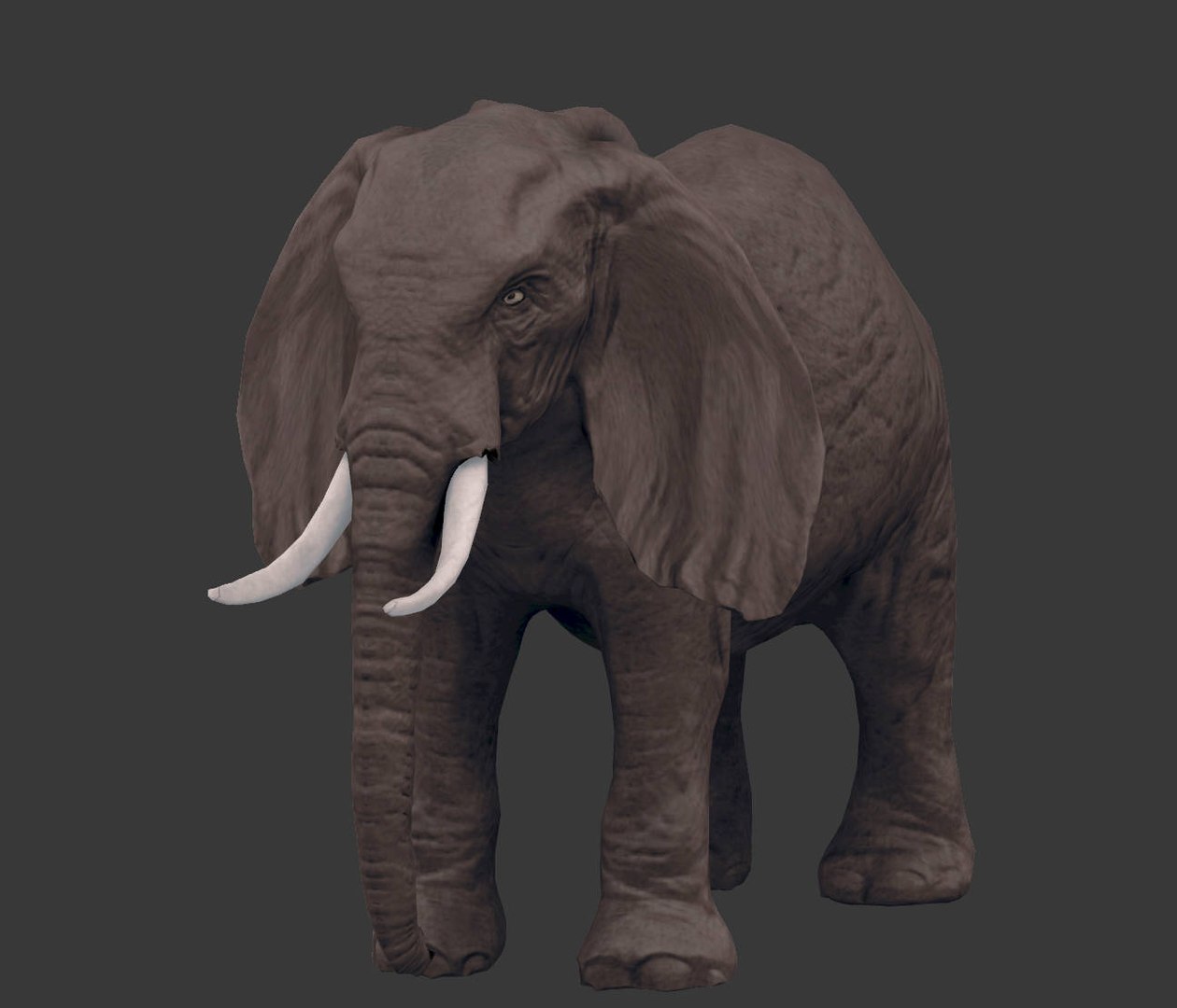 africa animals 3D model https://p.turbosquid.com/ts-thumb/kP/EheTus/iDSFcUcW/20171206_134830/jpg/1512557681/1920x1080/fit_q87/05baf7cf2423c81bad50524b1978b7c56f1b1c61/20171206_134830.jpg