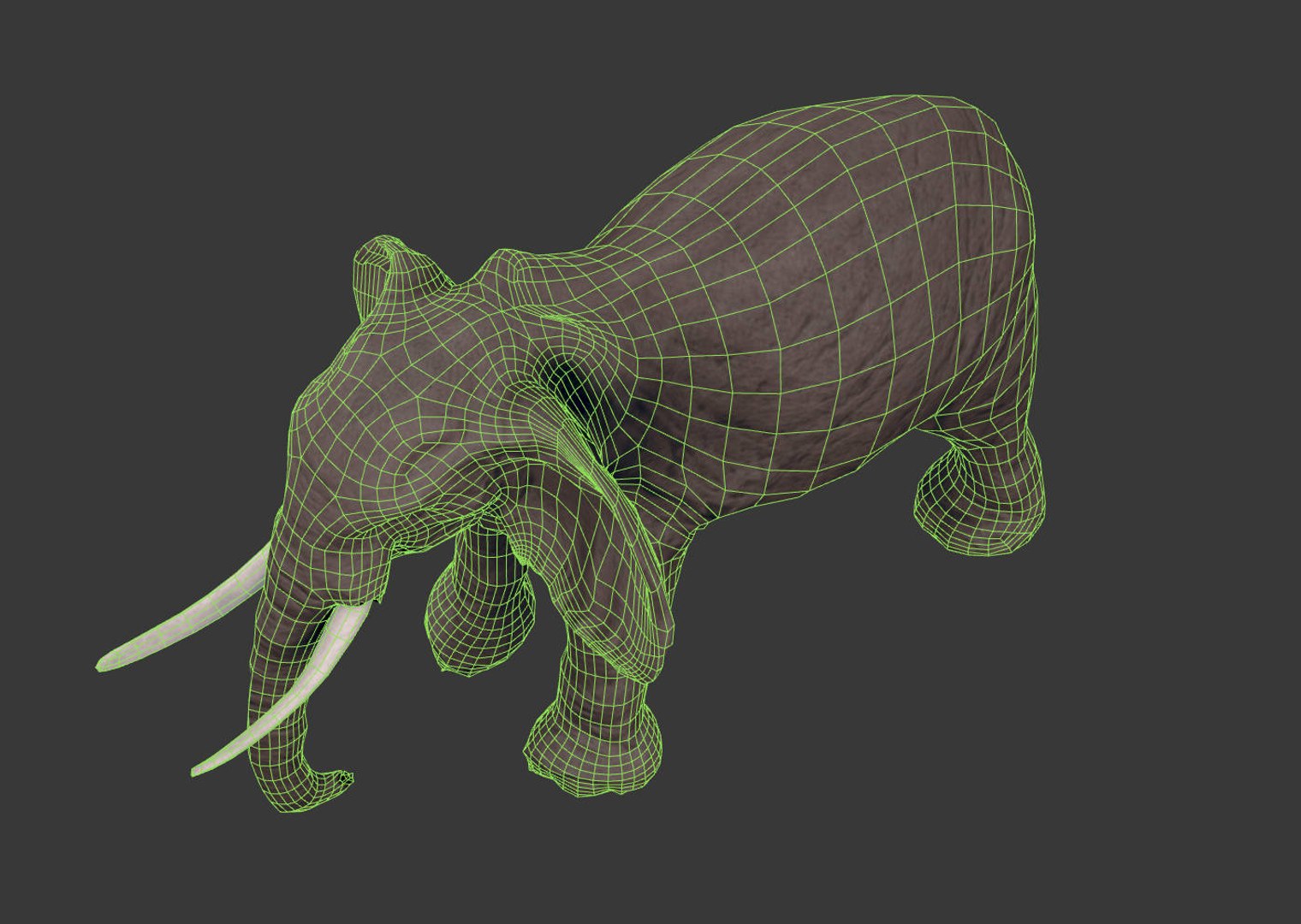 africa animals 3D model https://p.turbosquid.com/ts-thumb/kP/EheTus/tMm7nOe1/20171206_134910/jpg/1512557681/1920x1080/fit_q87/970c0f4628584158725349da31c408349e41bc26/20171206_134910.jpg