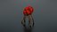 Alien Flora