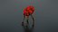 Alien Flora