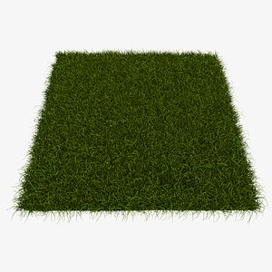 Lawn Grass 3D model