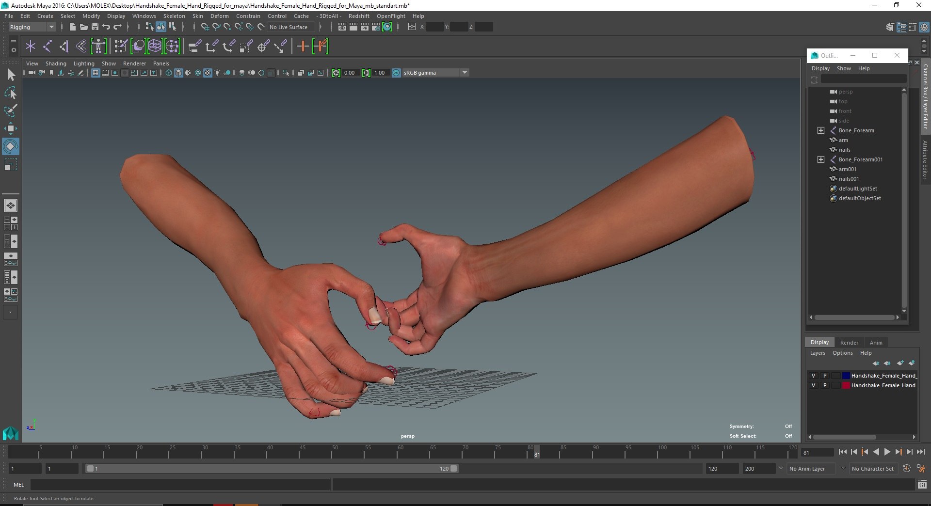 Handshake Female Hand Rigged for Maya 3D - TurboSquid 2124315