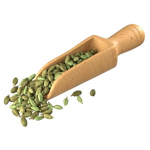 3D Dried green cardamom scoop