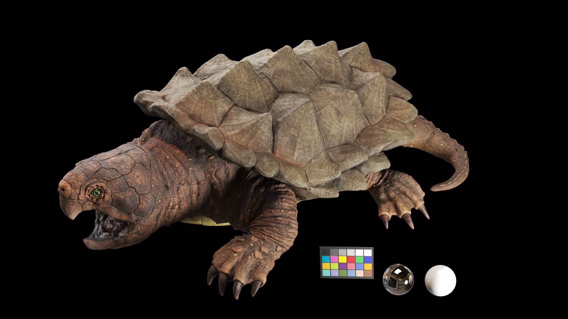Alligator Snapping  turtle rigged 3D https://p.turbosquid.com/ts-thumb/kQ/KS1TPd/7b/main2_1/jpg/1748786938/1920x1080/fit_q87/e61fbc8d94dd48f800ec7d56f939ccc98b30dfff/main2_1.jpg