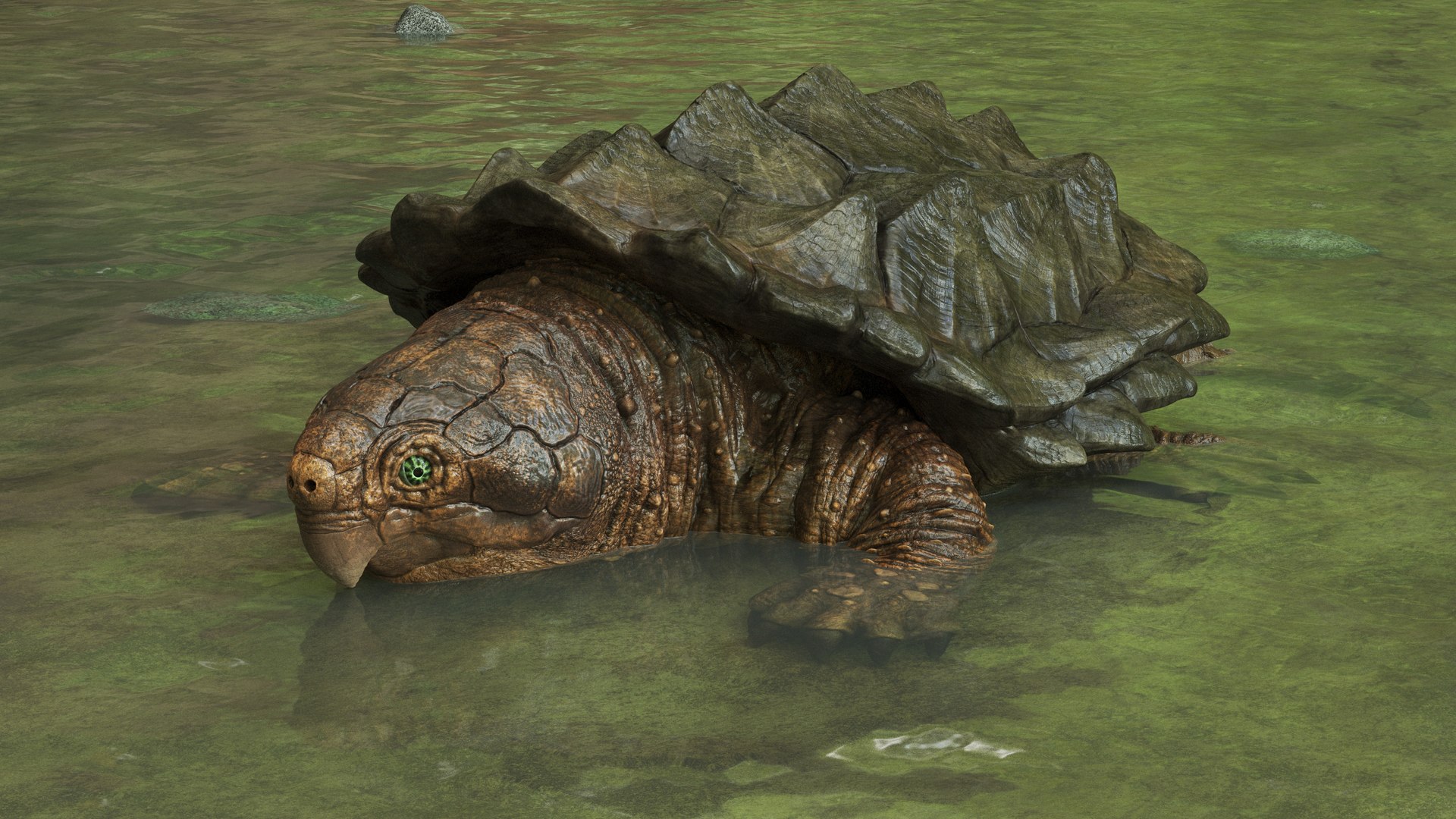 Alligator Snapping  turtle rigged 3D https://p.turbosquid.com/ts-thumb/kQ/KS1TPd/Kd/water4/jpg/1748808026/1920x1080/fit_q87/0539c0f03fd3596496b8c939a058042a5b63d84d/water4.jpg
