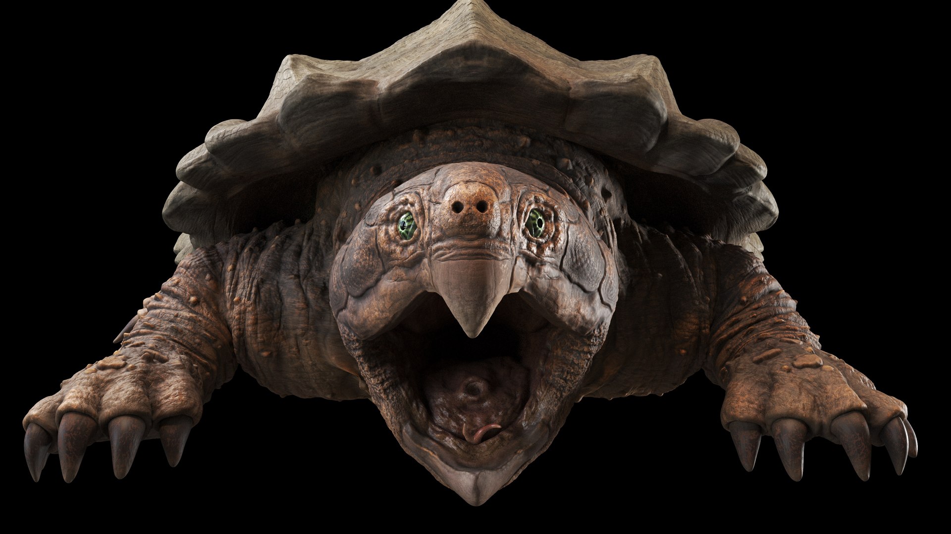 Alligator Snapping  turtle rigged 3D https://p.turbosquid.com/ts-thumb/kQ/KS1TPd/Tf/closeup3/jpg/1748786936/1920x1080/fit_q87/6c1508ba7b5709f2e2856223a5169288248c12c2/closeup3.jpg