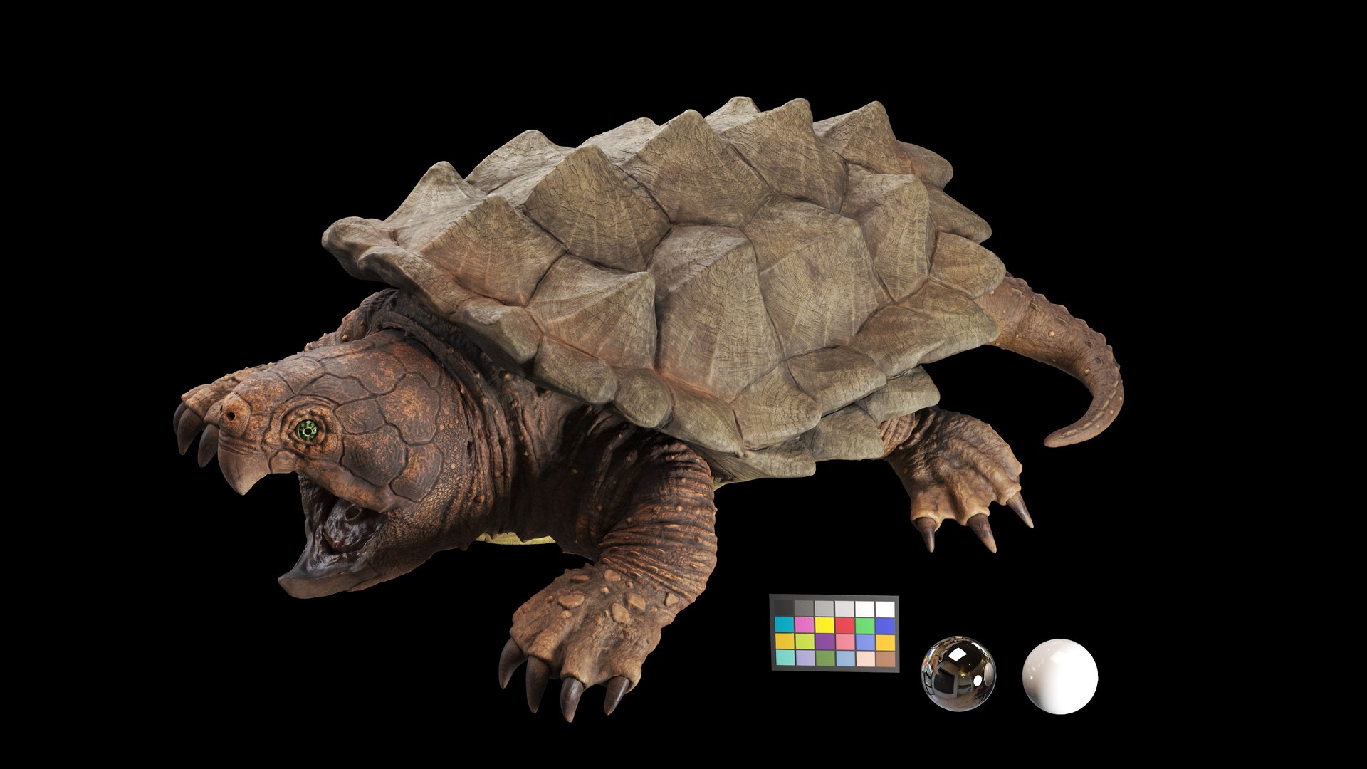 Alligator Snapping  turtle rigged 3D https://p.turbosquid.com/ts-thumb/kQ/KS1TPd/Uy/main2/jpg/1748786937/1920x1080/fit_q87/96d546b3a2bdea050cb3ff887d5d3c045992ff30/main2.jpg