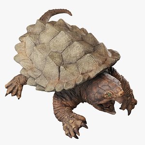 Alligator Snapping turtle rigged