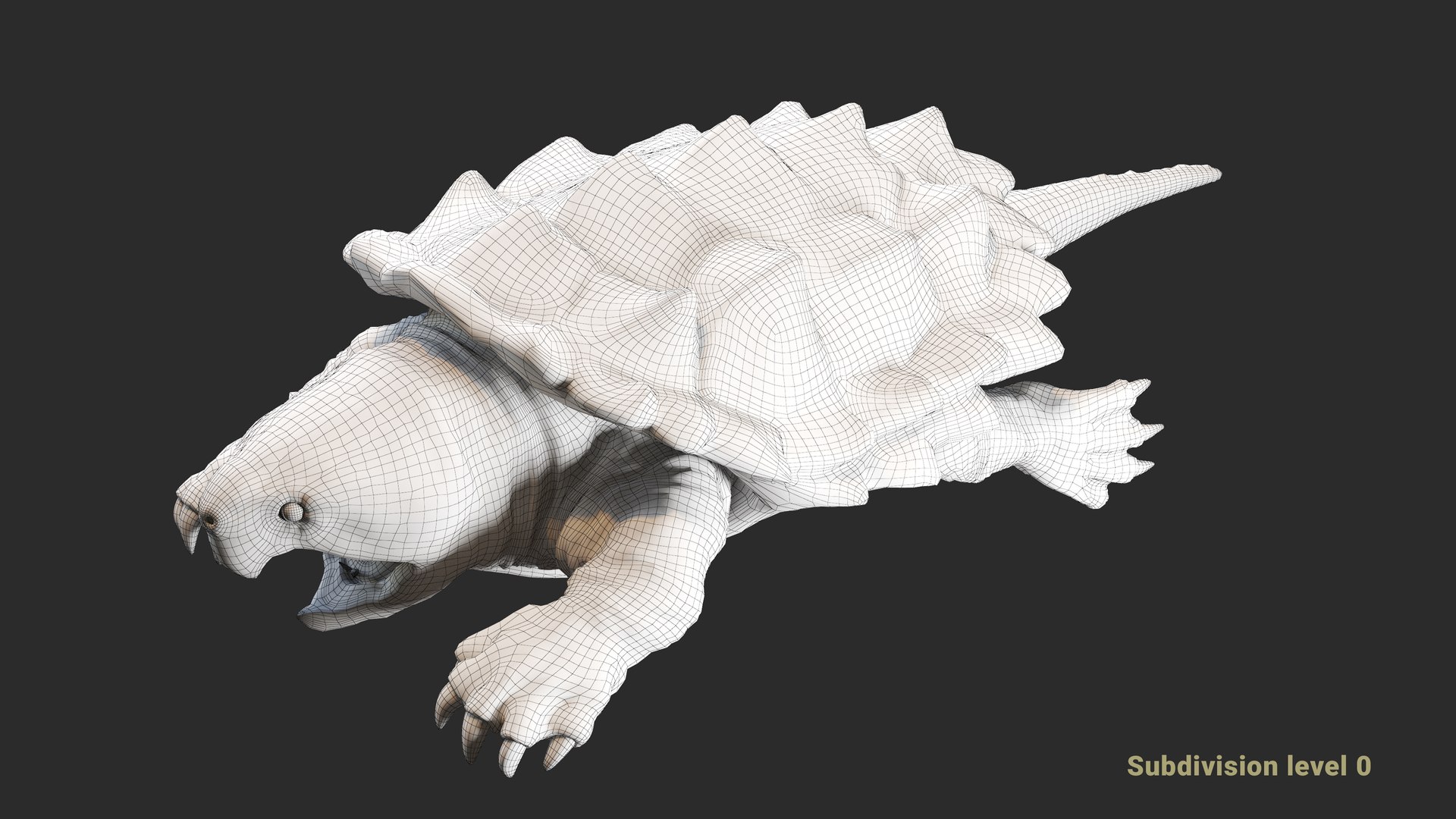 Alligator Snapping  turtle rigged 3D https://p.turbosquid.com/ts-thumb/kQ/KS1TPd/wF/wire1/jpg/1748786994/1920x1080/fit_q87/54b911825bb231839ee3bd85559d2469fef50199/wire1.jpg