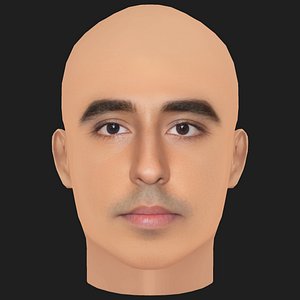 Low Poly Dev Patel Head