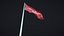 3D Flag Animated Looped