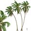 New Plant High detail Cocos Nucifera Windy