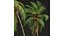 New Plant High detail Cocos Nucifera Windy