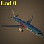 B738汤姆