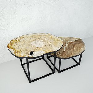 Petrified Wood Slice Coffee Tables 7 3D model