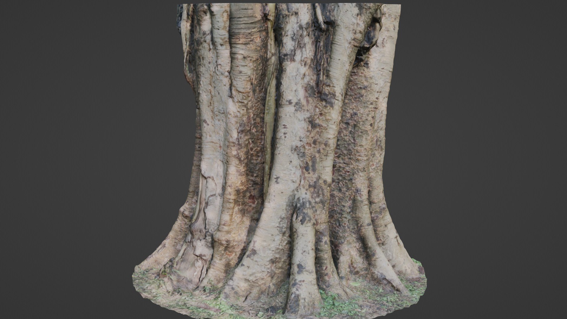 3D Board Tree - TurboSquid 2329659