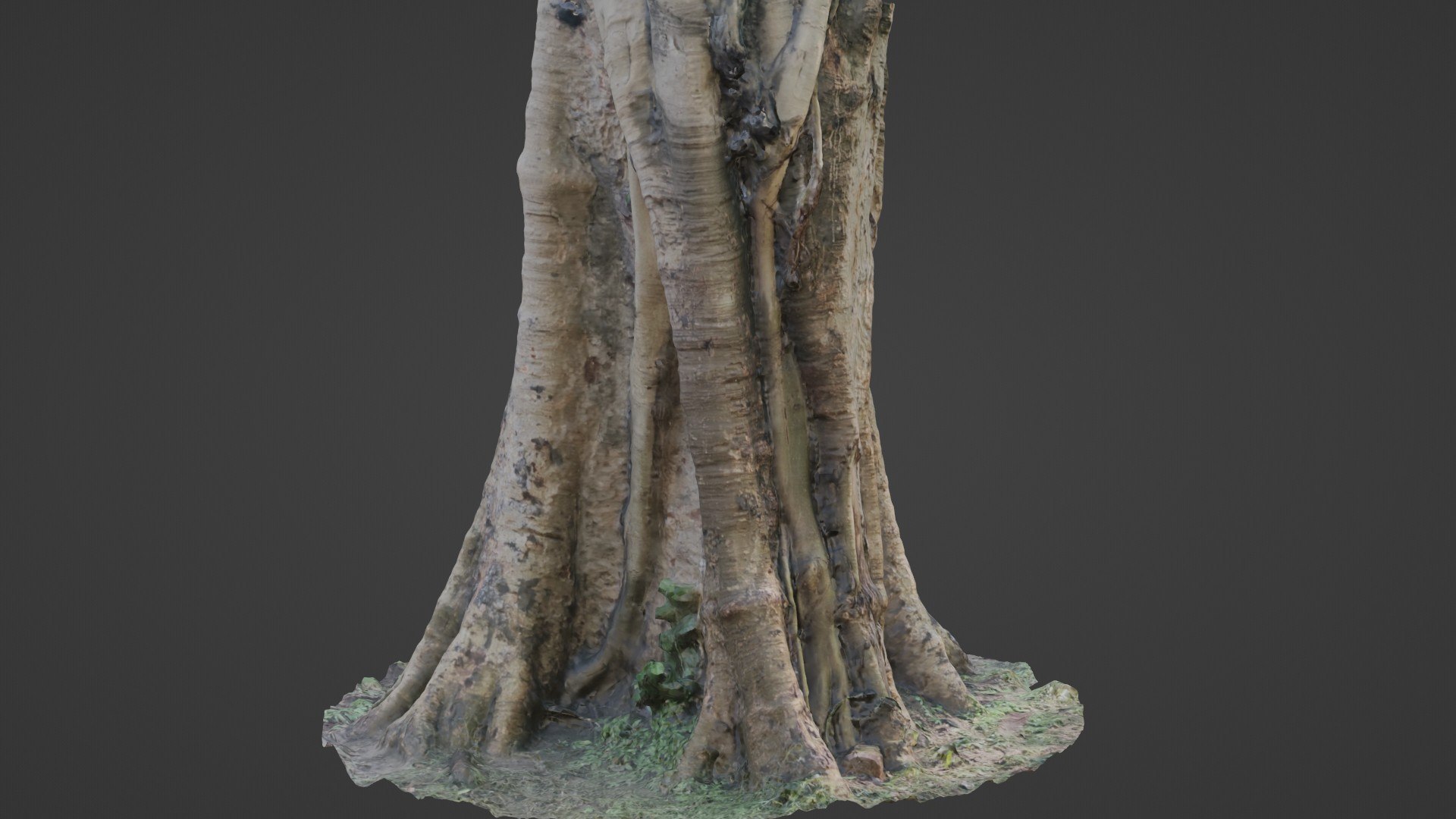 3D Board Tree - TurboSquid 2329659