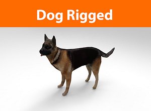 3d german shepherd dog rigged model
