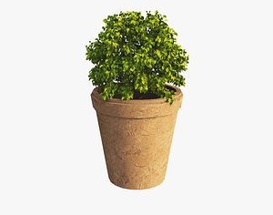Plant Pot 3D model