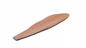 Salmon 3D model