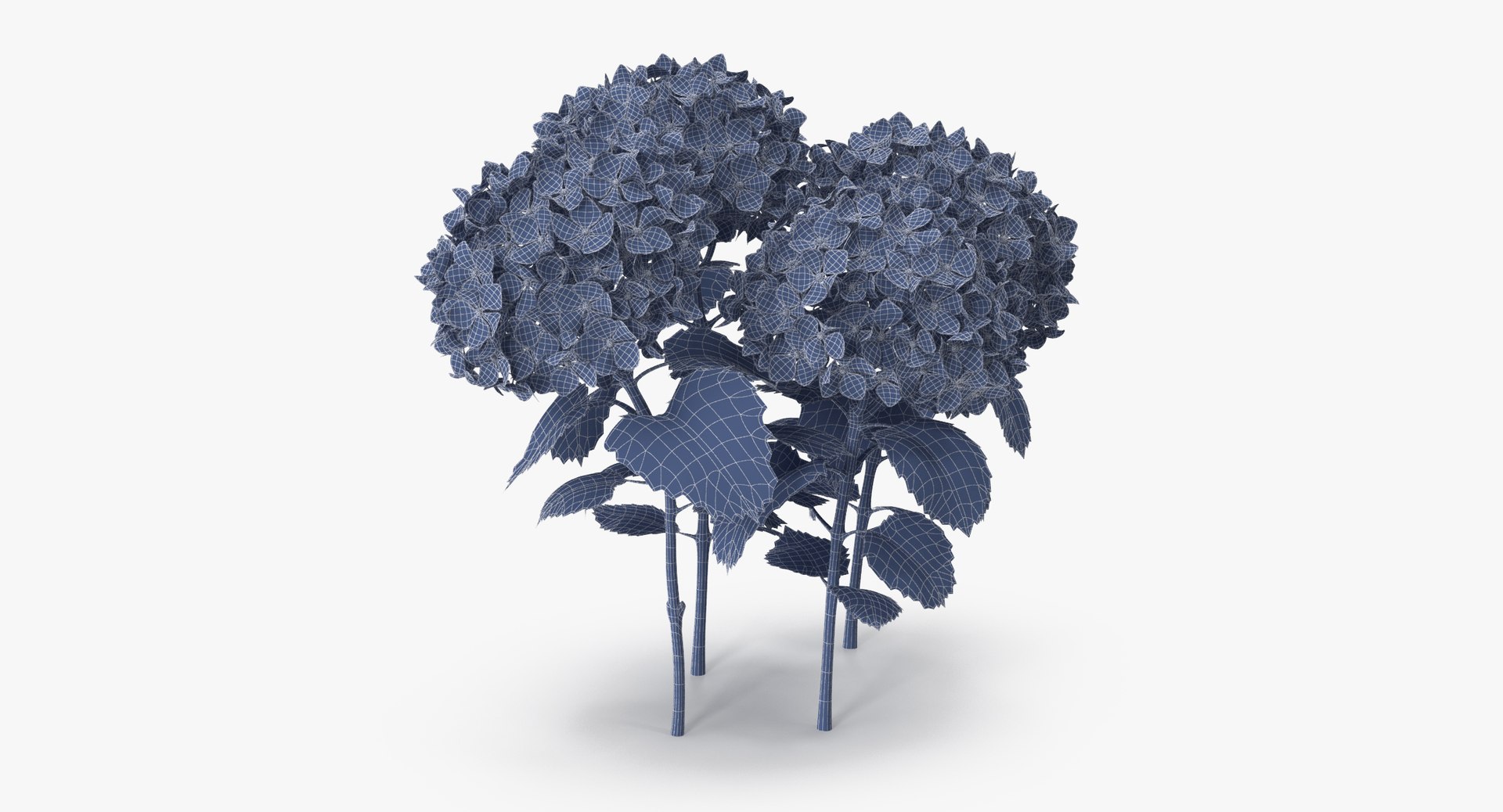 Hydrangeas Natural Group - 3d Max