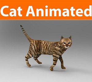 3D cat animations model
