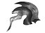 Warrior Helmet