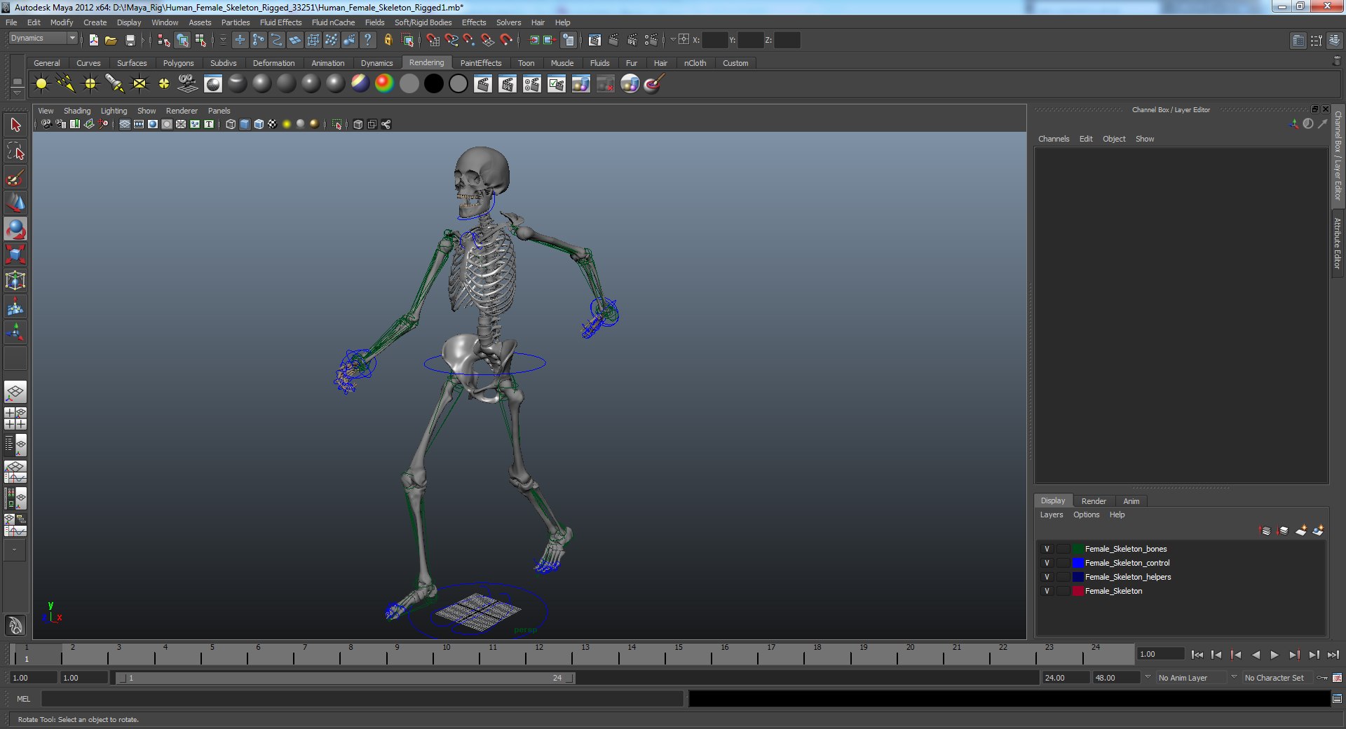 3D human skeletons rigged https://p.turbosquid.com/ts-thumb/kR/Y7h0bd/PH3rBBse/humanfemaleskeletonriggedmayamb3dmodel43/jpg/1582731935/1920x1080/fit_q87/8feae57984c30264e8cd5b534cf9e9d5426332ed/humanfemaleskeletonriggedmayamb3dmodel43.jpg