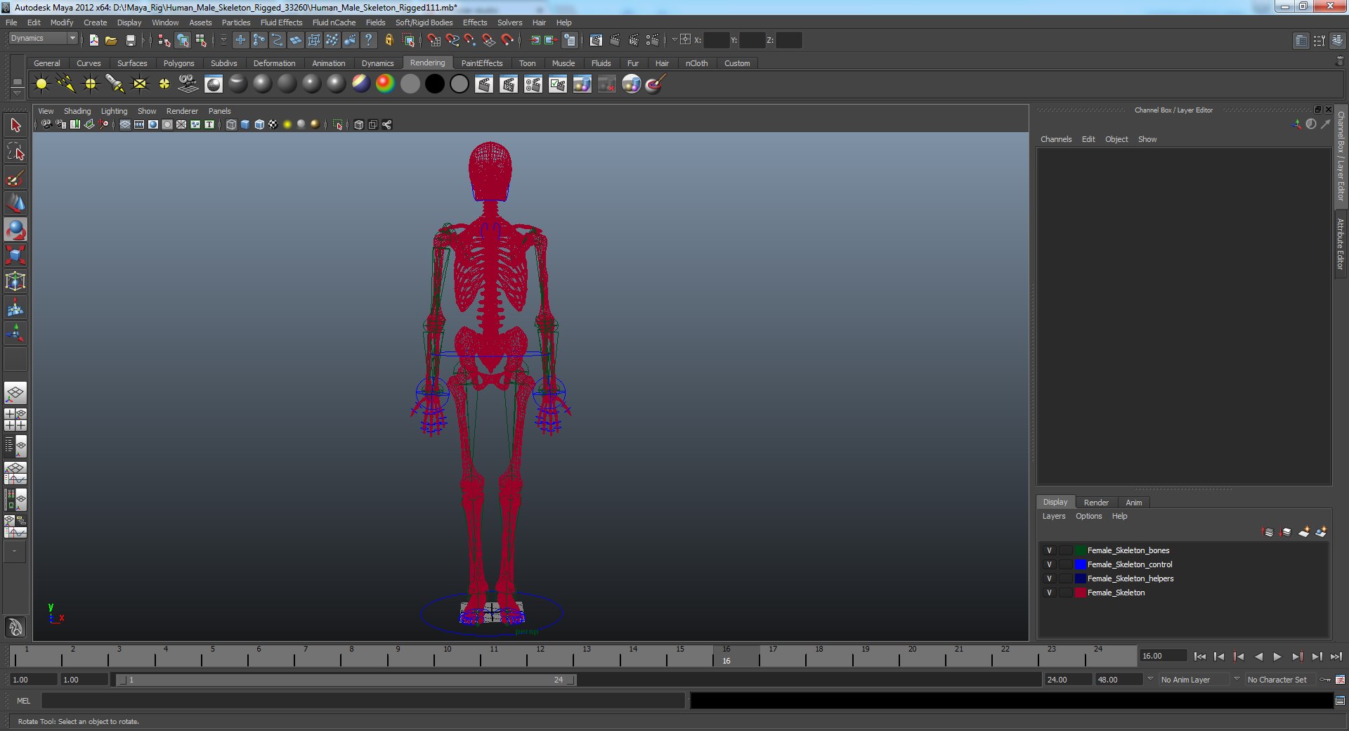 3D human skeletons rigged https://p.turbosquid.com/ts-thumb/kR/Y7h0bd/UNavT2dI/humanmaleskeletonriggedmayamb3dmodel47/jpg/1582731935/1920x1080/fit_q87/390878d825c6f13fa8d2497e4c8744002792d92a/humanmaleskeletonriggedmayamb3dmodel47.jpg