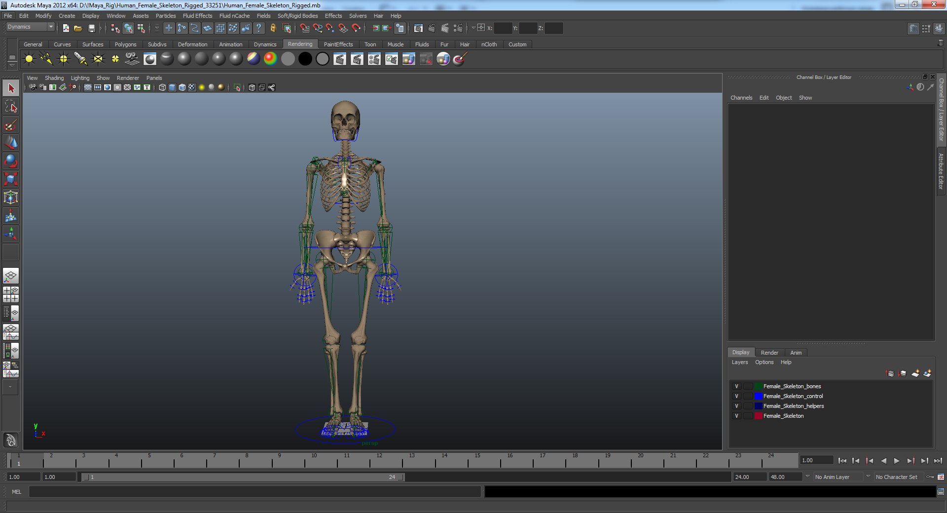 3D human skeletons rigged https://p.turbosquid.com/ts-thumb/kR/Y7h0bd/g0ASjtSC/humanfemaleskeletonriggedmayamb3dmodel42/jpg/1582731935/1920x1080/fit_q87/6ee7deb267602d14fa7adf6a66961830d2e96902/humanfemaleskeletonriggedmayamb3dmodel42.jpg