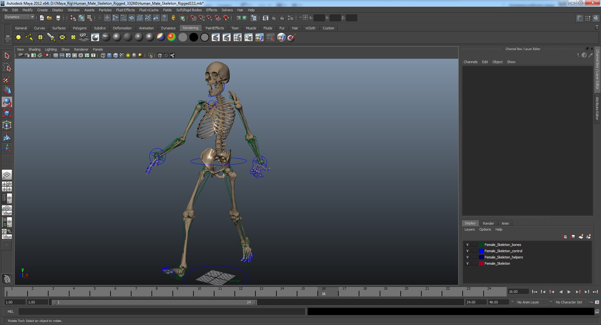 3D human skeletons rigged https://p.turbosquid.com/ts-thumb/kR/Y7h0bd/vzRc4dDM/humanmaleskeletonriggedmayamb3dmodel49/jpg/1582731935/1920x1080/fit_q87/43a4baa3e330fd452f9b1f90f1528b43bc985ed6/humanmaleskeletonriggedmayamb3dmodel49.jpg