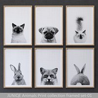 JUNIQE Animals Print collection framed set-01